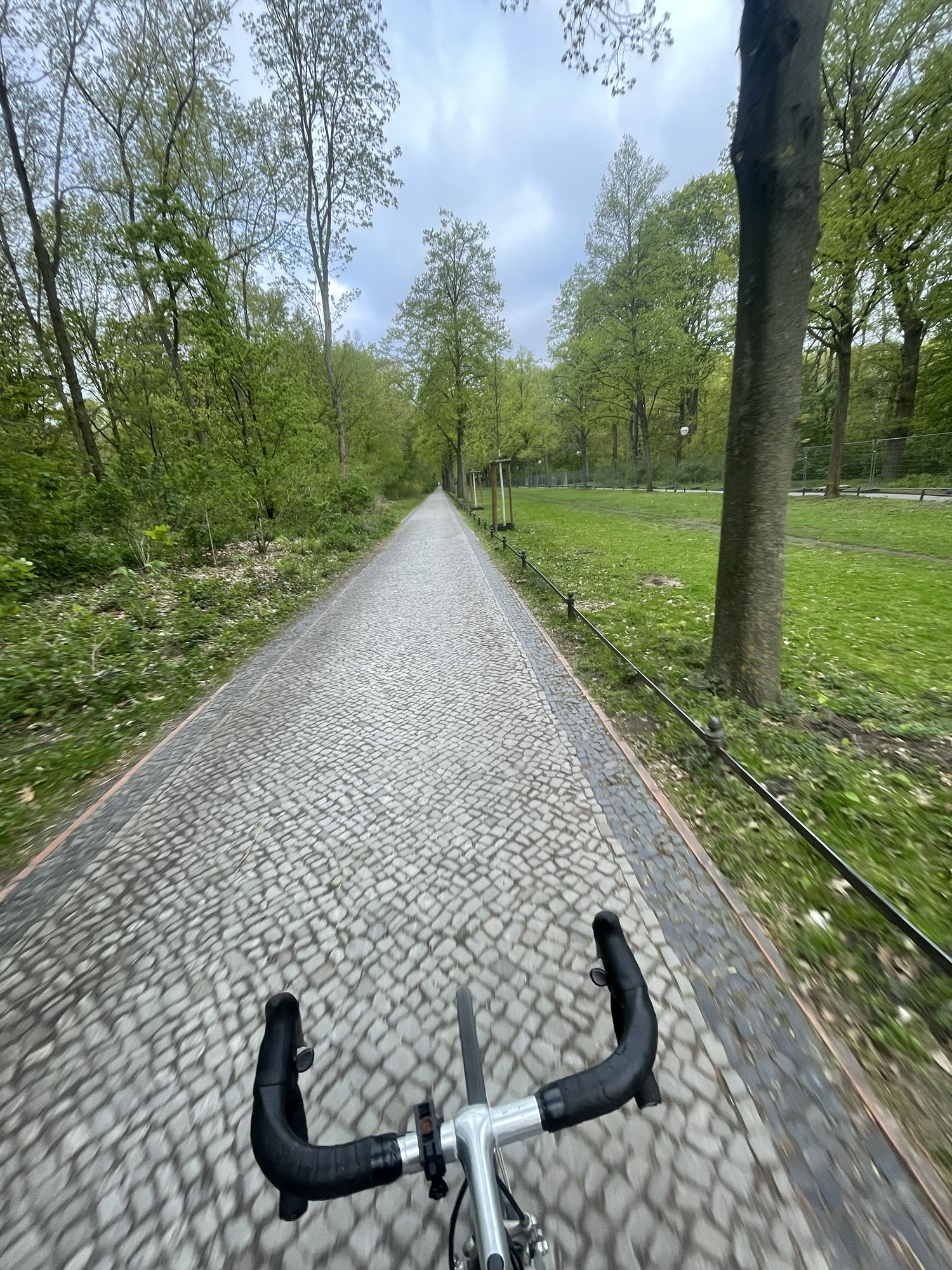 Early-morning cyclist riding along a quiet Tiergarten path with long shadows and soft light filtering through the trees