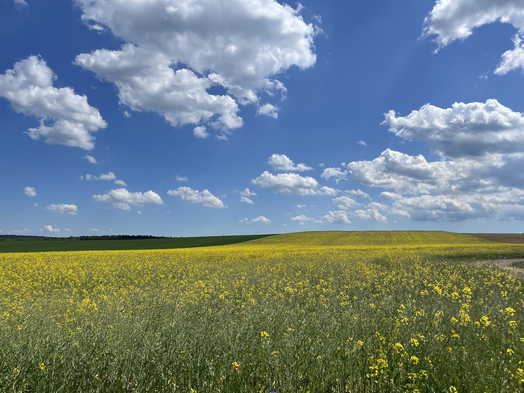 Countryside of Rheinland-Pfalz